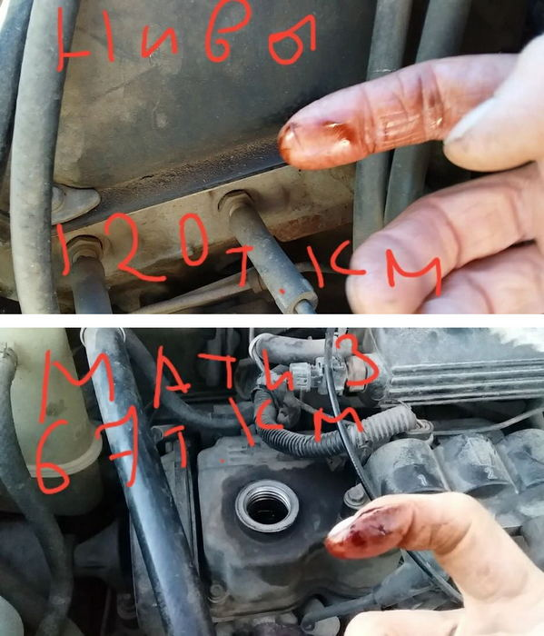 nivamatiz.jpeg